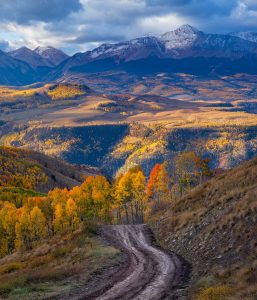 Fall Foliage Jeep